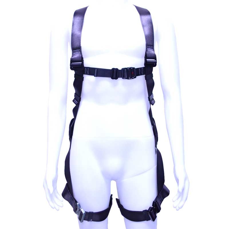 A03_TBL-AR-ORL-593-BP_tsuyoron_01