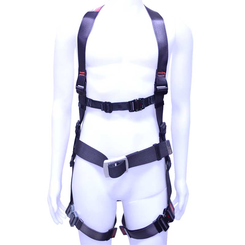 A03_TBL-AR-ORL-593-BP_tsuyoron_01