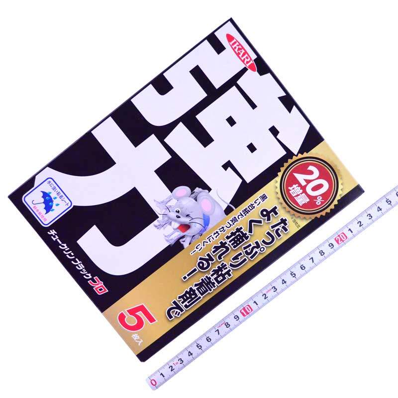 A03_TBL-AR-ORL-593-BP_tsuyoron_01