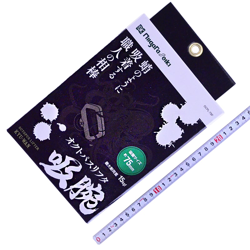 A03_TBL-AR-ORL-593-BP_tsuyoron_01