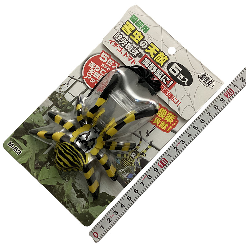 高芝ギムネ製作所<br>害虫の天敵　除労蜘蛛　５匹入<br>M-53